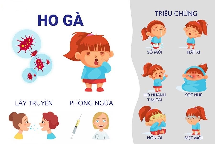 Các biện pháp phòng chống bệnh ho gà và các bệnh dự phòng bằng vaccine